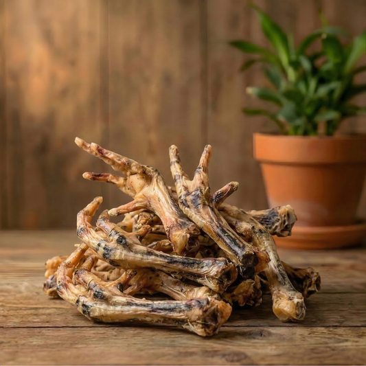 📦 Plaisir & Découverte